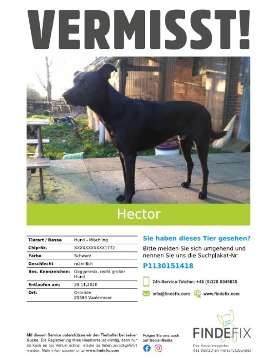 2020-11-30 Hector